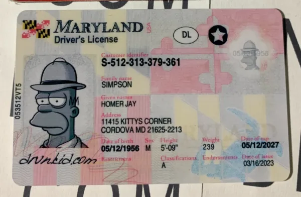 Maryland Fake ID Frontside