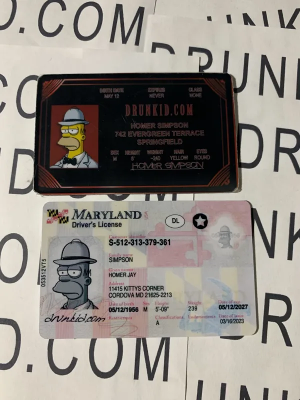 Maryland Fake ID Hologram