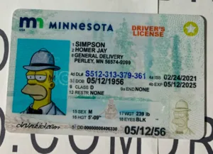 Minnesota Fake ID Frontside