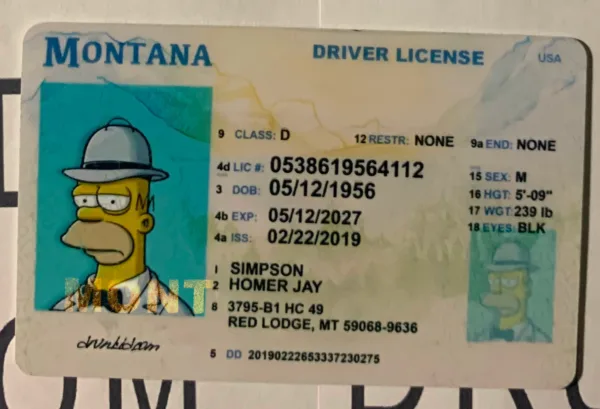 Montana Fake ID Frontside