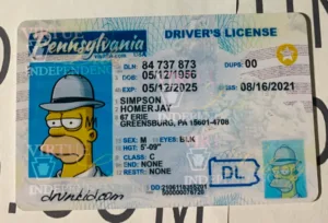 Pennsylvania Fake ID Frontside