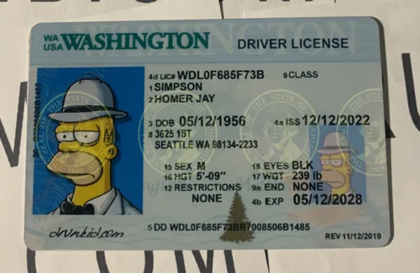 Washington Fake ID Frontside