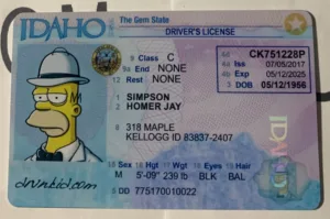 idaho Fake ID Frontside