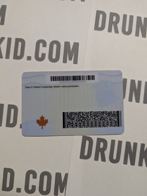 New Brunswick Fake ID Back