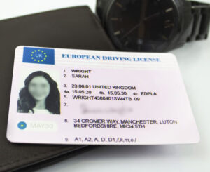 European Driving License
