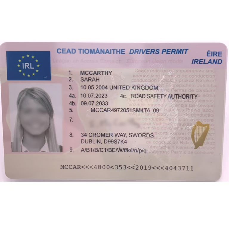 Irish Driving Permit - Image 2