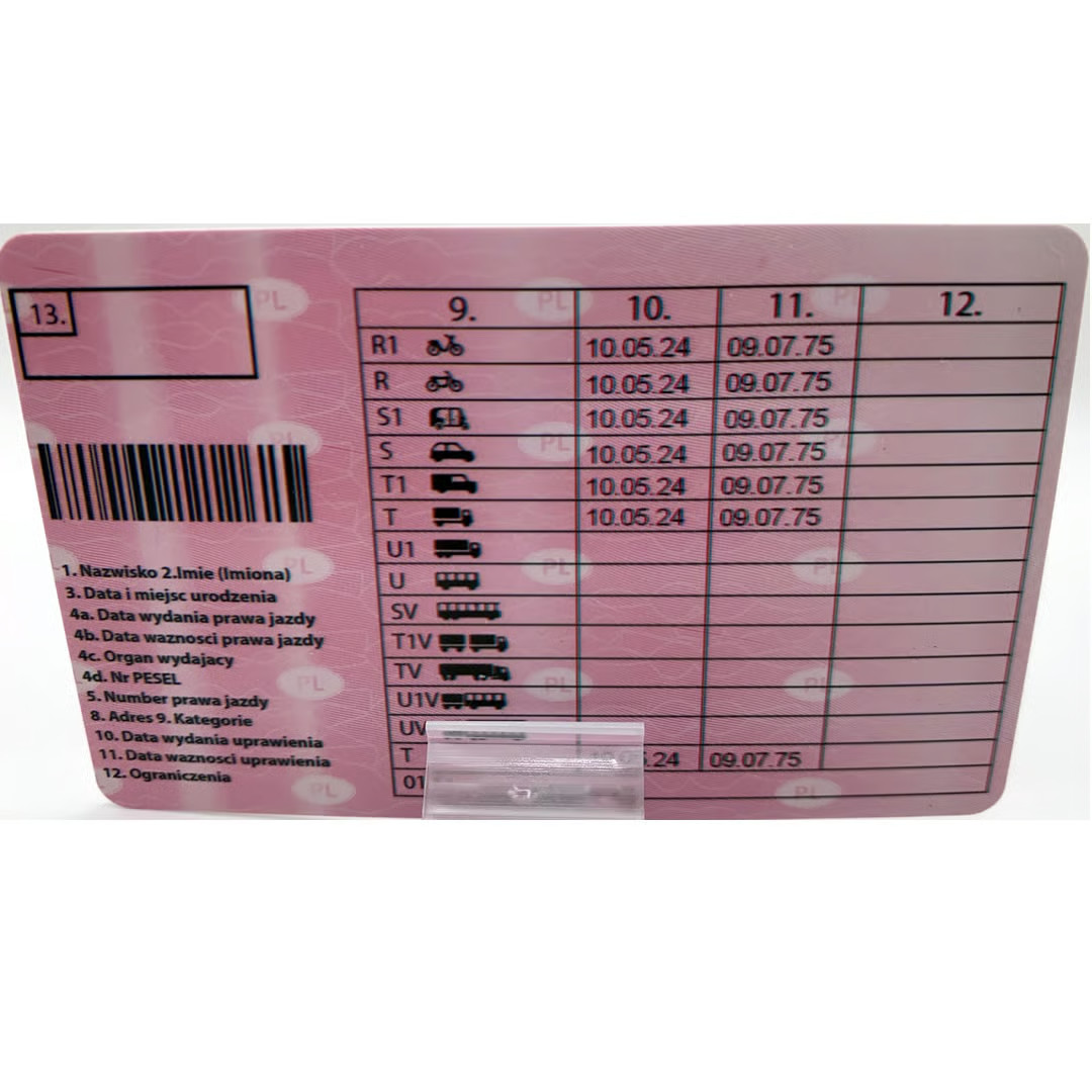 Polish driving license (2024) - Image 2