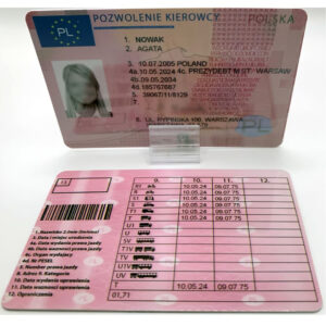 Polish driving license (2024)