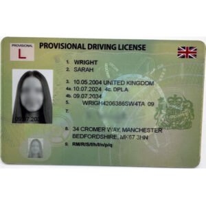 Provisional Driving License