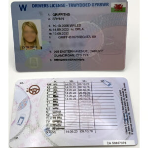 Welsh Driving License